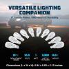 imageCamco 54766 912 AutoRVMarine Replacement Interior Light Bulb  Box of 10