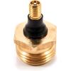 imageCamco RV Brass Blow Out Plug  Essential RV Winterizing Tool  HeavyDuty Brass Construction  Helps Clear Your Water Lines During RV Winterization and Dewinterization 36153Brass
