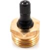 imageCamco RV Brass Blow Out Plug  Essential RV Winterizing Tool  HeavyDuty Brass Construction  Helps Clear Your Water Lines During RV Winterization and Dewinterization 36153Brass