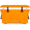 Tangerine Exterior - White Interior