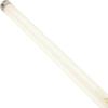 imageCamco Unknown 54880 12V F8T5CW Fluorescent Light Bulb  Pack of 2 12 Inches2 Count Pack of 1